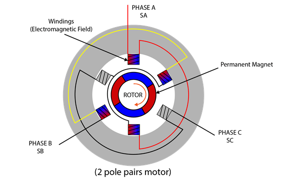 Brushless DC Motor
